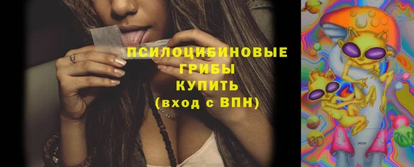 бошки Алексеевка