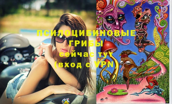 бошки Алексеевка