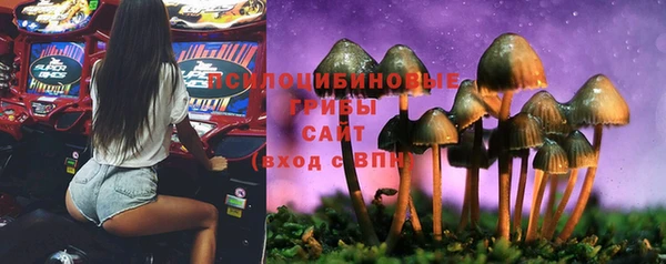 бошки Алексеевка