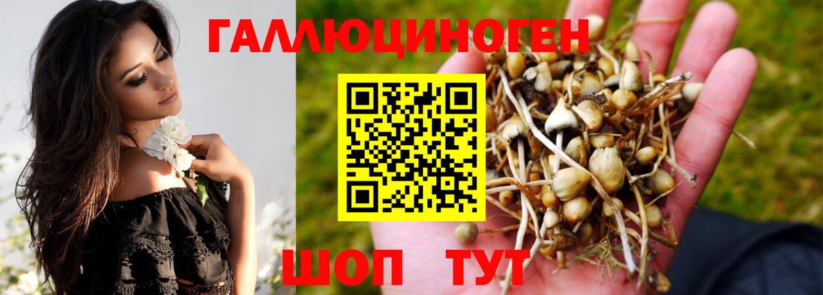 купить закладку  Вход с VPN  Мирный  Галлюциногенные грибы прущие грибы 